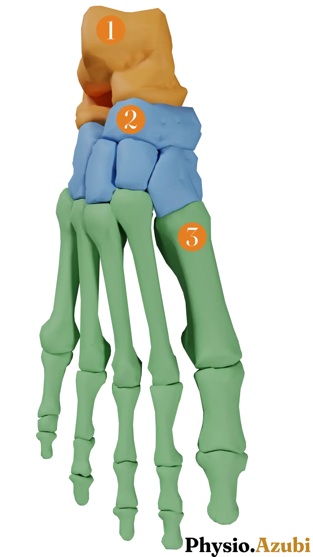 Einteilung Funktionell